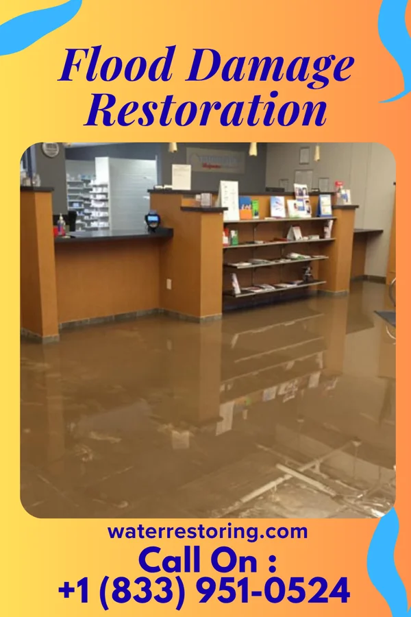 Flood Damage Restoration in Volo, IL